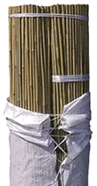 Tutores de bambú