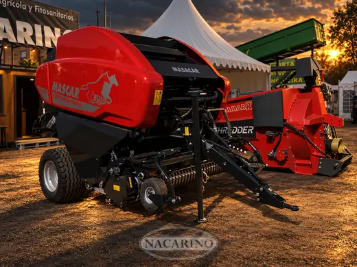 Arrancadora-cortadora de ajo roja en la campa de Nacarino al atardecer