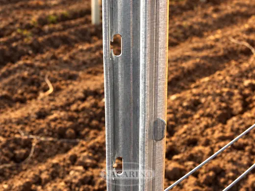 Poste galvanizado de espaldera en línea