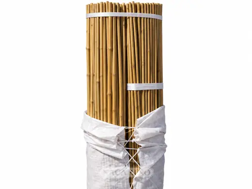 Tutores de bambú para espaldera